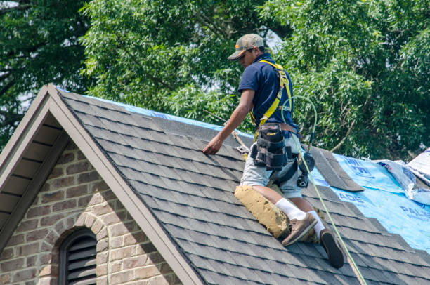 Quick and Trustworthy Emergency Roof Repair Services in Alabaster, AL